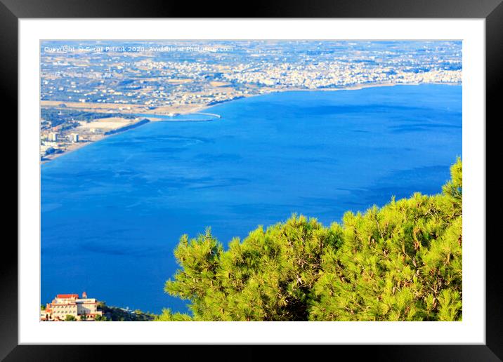 Beautiful fluffy fir branch with cones under the golden sun against the backdrop of the sea of blue Corinthian Gulf. Framed Mounted Print by Sergii Petruk