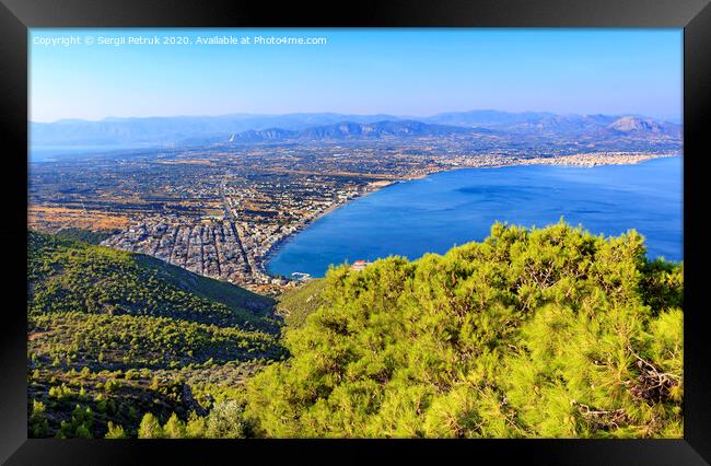A beautiful fluffy spruce tree with cones under the bright sun against the backdrop of the city of Loutraki and the sea of blue Corinthian Gulf. Framed Print by Sergii Petruk