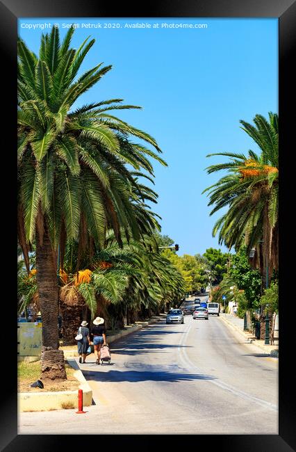 Along the road, an alley of date palm trees grows, cars go along the road, females walk, violating traffic rules, a vertical image. Framed Print by Sergii Petruk