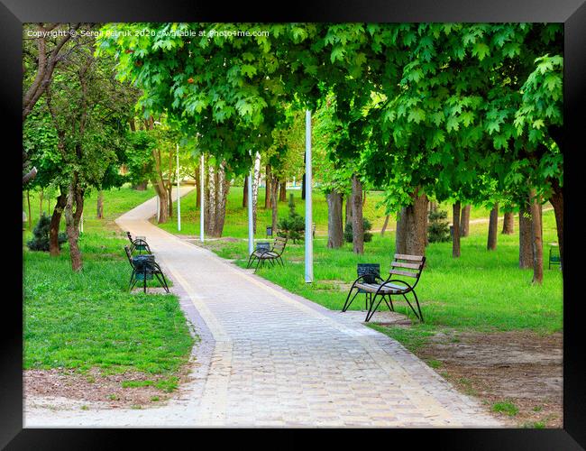 Wooden benches in a picturesque city summer park stand along a paved walkway. Framed Print by Sergii Petruk