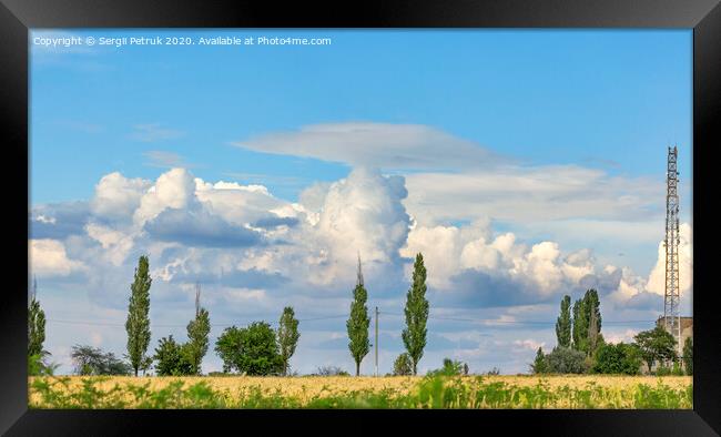 Cloudy blue sky over a yellow wheat field and lonely poplars on the horizon. Framed Print by Sergii Petruk