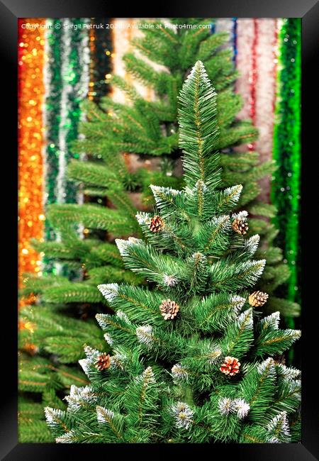 Artificial Christmas pine on a background of multicolored tinsel in blur. Framed Print by Sergii Petruk