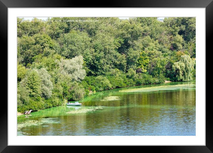 Natural picturesque landscape of the Dnipro bay near one of the river islands. Framed Mounted Print by Sergii Petruk