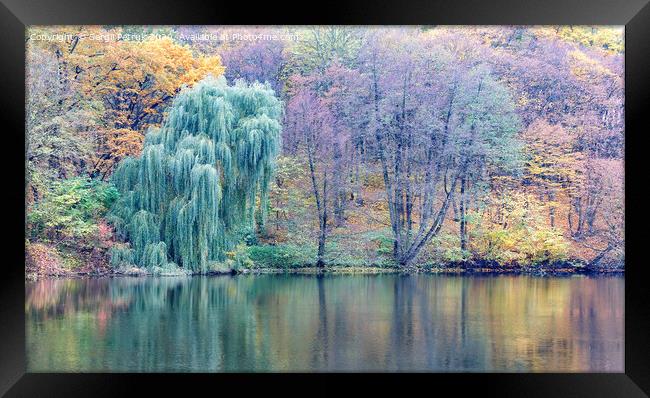 Pastel colors of autumn park and forest lake. Framed Print by Sergii Petruk