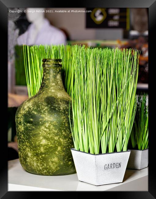 Green grass in a white pot and an old bottle as part of the restaurant's interior decoration. Framed Print by Sergii Petruk