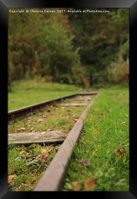 On the Tracks Framed Print by Charisse Carson
