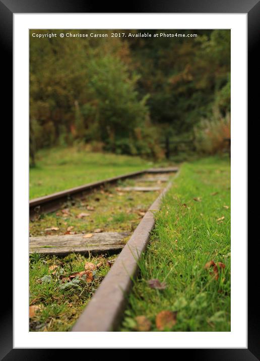 On the Tracks Framed Mounted Print by Charisse Carson