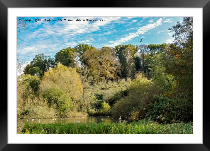 Ninesprings Country Park Yeovil Somerset  Framed Mounted Print by Will Badman