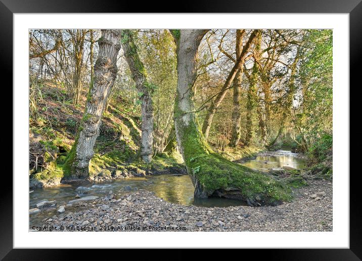 Beautiful Stream in a Village of Horton Somerset Framed Mounted Print by Will Badman