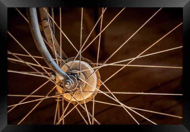 Bicycle Wheel Framed Print by David Belcher