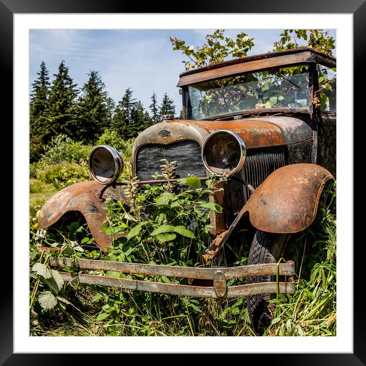 Rusty old Ford car Framed Mounted Print by David Belcher