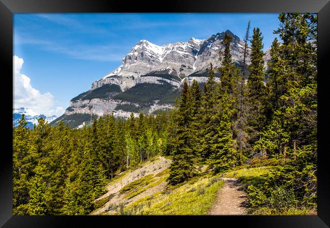 Canadian mountain trail  Framed Print by David Belcher