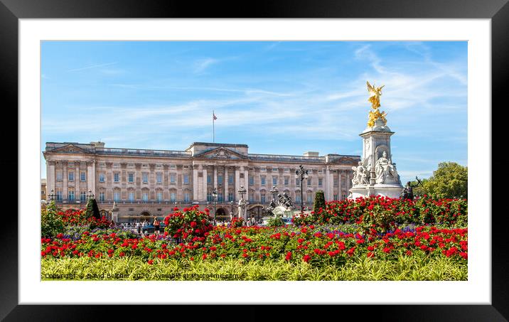 Buckingham Palace Framed Mounted Print by David Belcher