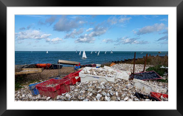 Whitstable oyster shells Framed Mounted Print by David Belcher