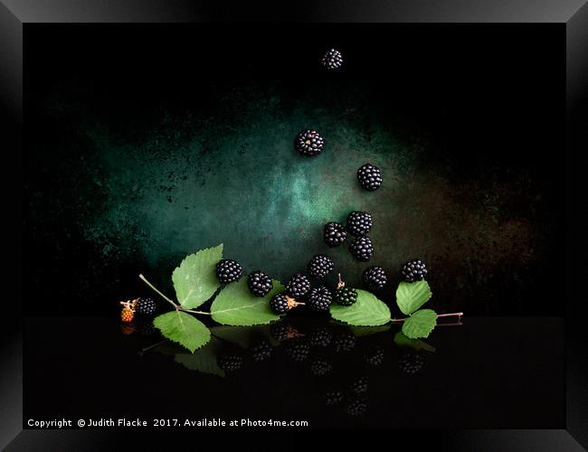 Wild blackberries Framed Print by Judith Flacke