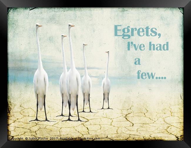 Egrets Framed Print by Judith Flacke