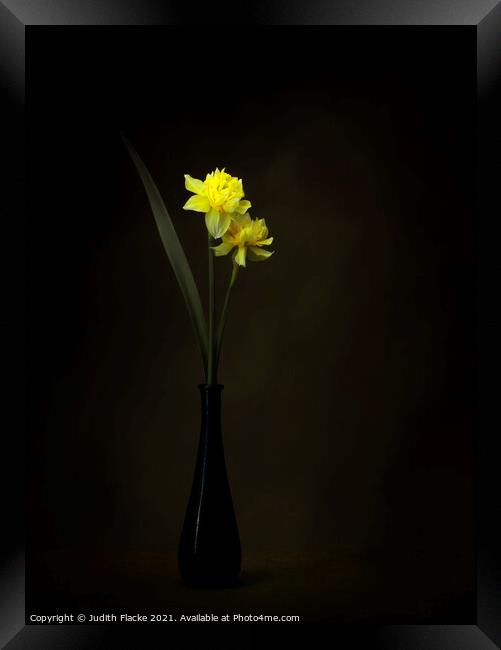 Double daffodils in a vase Framed Print by Judith Flacke
