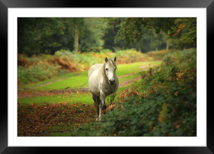 I'm Here Framed Mounted Print by Ursula Rodgers