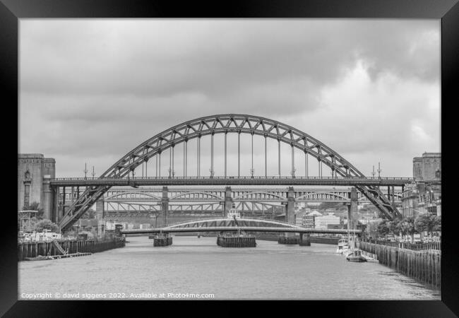 Tyne bridges Framed Print by david siggens