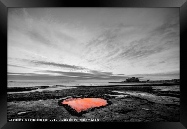 Bamburgh Northumberland Heart shaped rock pool Framed Print by david siggens