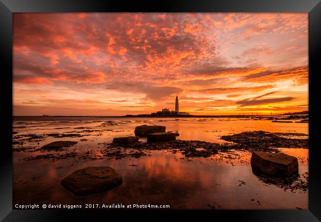 Fire in the sky St marys Lighthouse Framed Print by david siggens