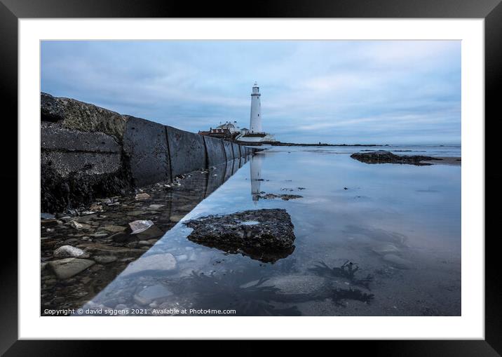 St marys lighthouse reflections Framed Mounted Print by david siggens