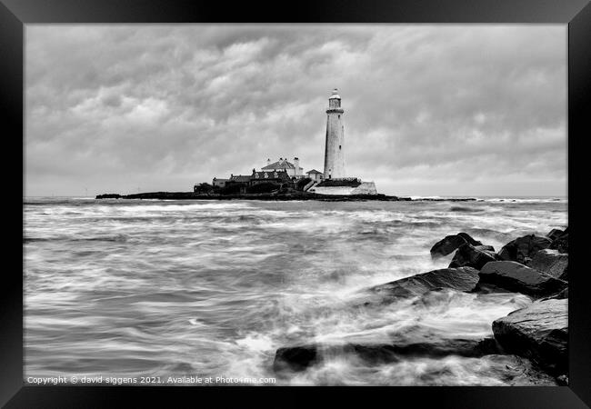 Black and white st marys lighthouse  Framed Print by david siggens