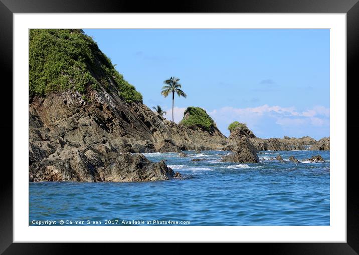 Lone Palm tree on Whale Island Framed Mounted Print by Carmen Green