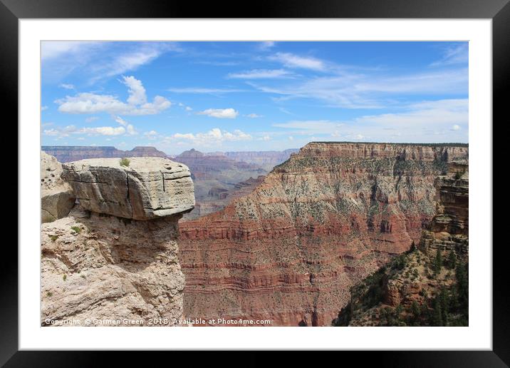 Grand Canyon National Park  Framed Mounted Print by Carmen Green