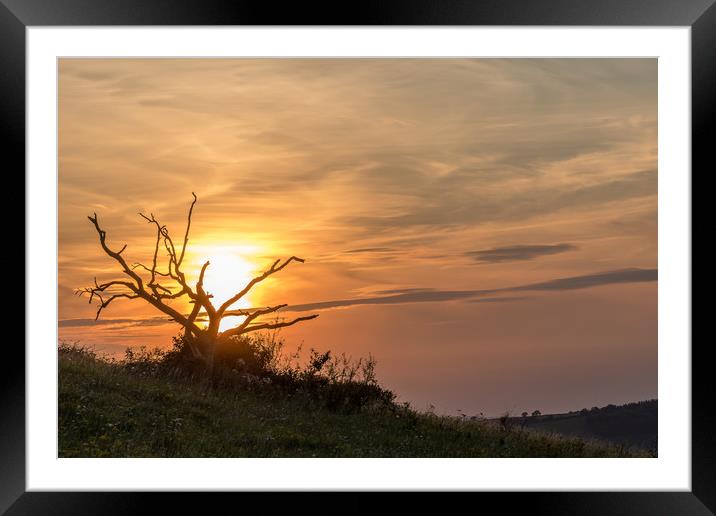 Sunset At Old Winchester Hill Framed Mounted Print by Colin Stock