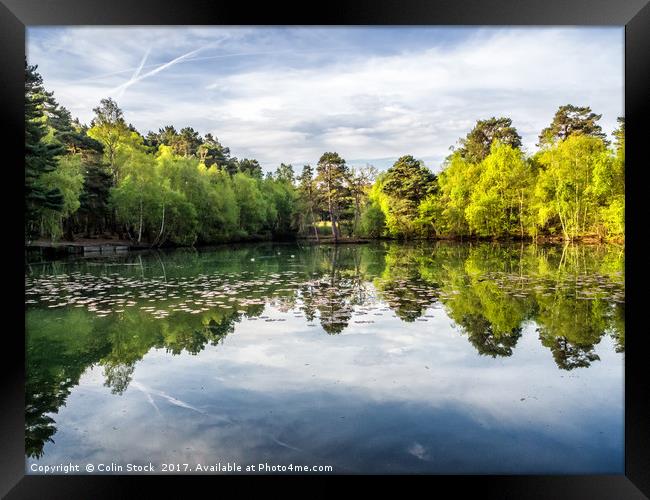 Reflections Framed Print by Colin Stock