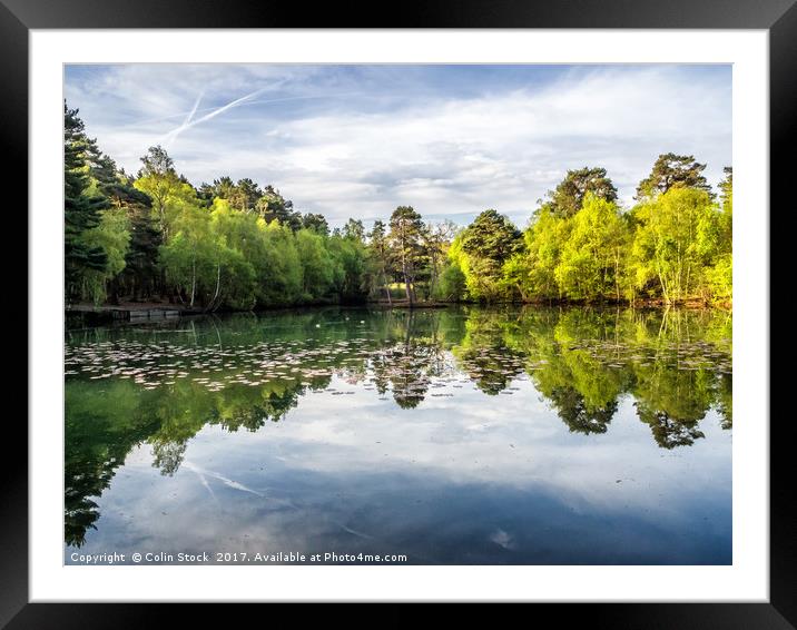 Reflections Framed Mounted Print by Colin Stock