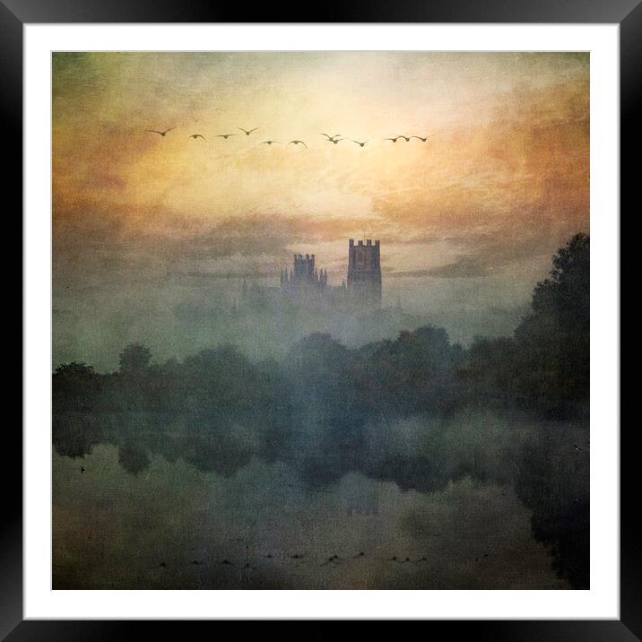 Ely Cathedral, from Roswell Lakes Framed Mounted Print by Andrew Sharpe