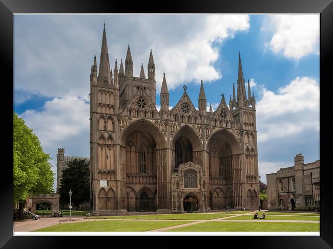 Peterborough Cathedral Framed Print by Andrew Sharpe