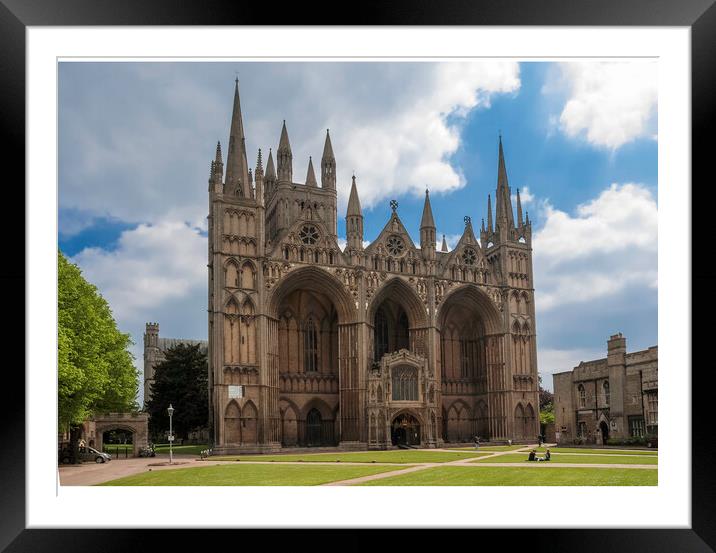 Peterborough Cathedral Framed Mounted Print by Andrew Sharpe