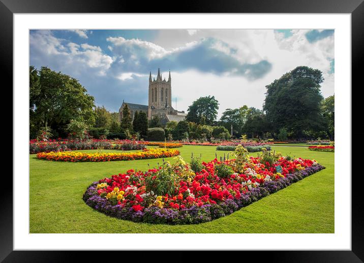 Bury St Edmunds, Abbey Gardens, Suffolk Framed Mounted Print by Andrew Sharpe