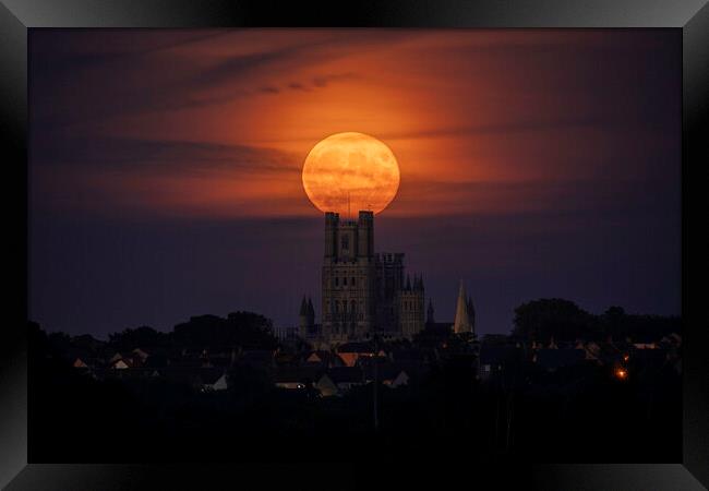 Moonrise behind Ely Cathedral, 21st September 2021 Framed Print by Andrew Sharpe