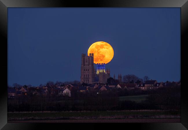 Worm Moon rising behind Ely Cathedral, 18th March 2022 Framed Print by Andrew Sharpe