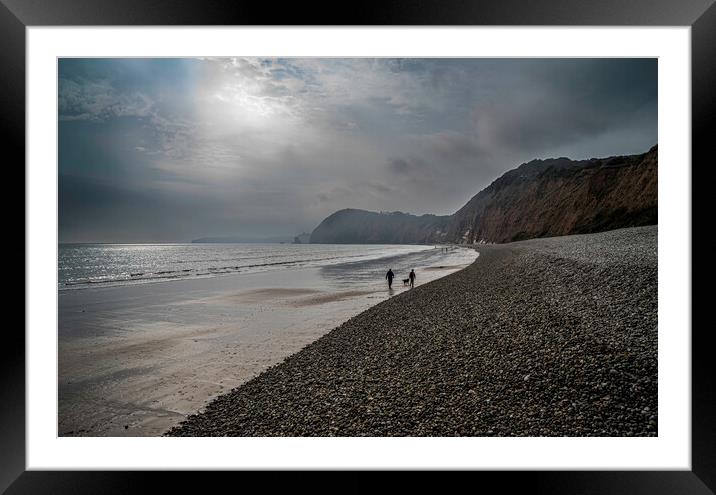 Sidmouth, Dorset Framed Mounted Print by Andrew Sharpe