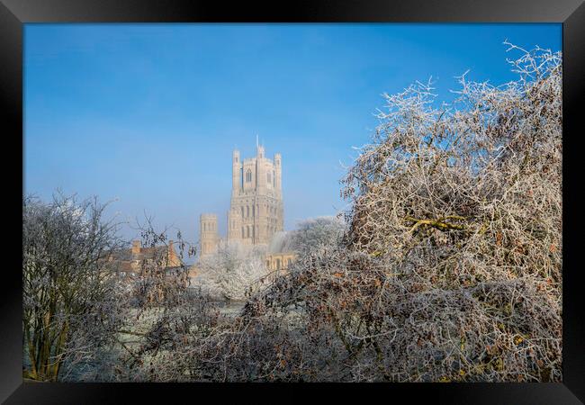 Frosty, misty morning in Ely, Cambridgeshire, 22nd January 2023 Framed Print by Andrew Sharpe