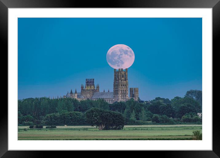 Moonrise behind Ely Cathedral, 3rd June 2023 Framed Mounted Print by Andrew Sharpe