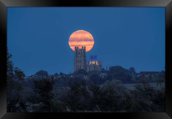 Harvest Moon rising behind Ely Cathedral, 29th September 2023 Framed Print by Andrew Sharpe