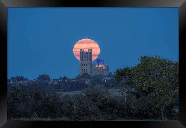 Harvest Moon rising behind Ely Cathedral, 29th September 2023 Framed Print by Andrew Sharpe