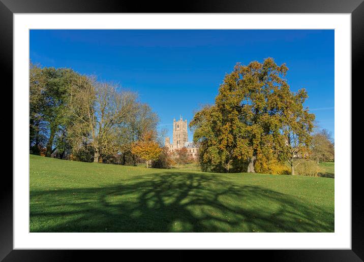 Sunny autumnal day in Ely, Cambridgeshire, 23rd November 2023 Framed Mounted Print by Andrew Sharpe