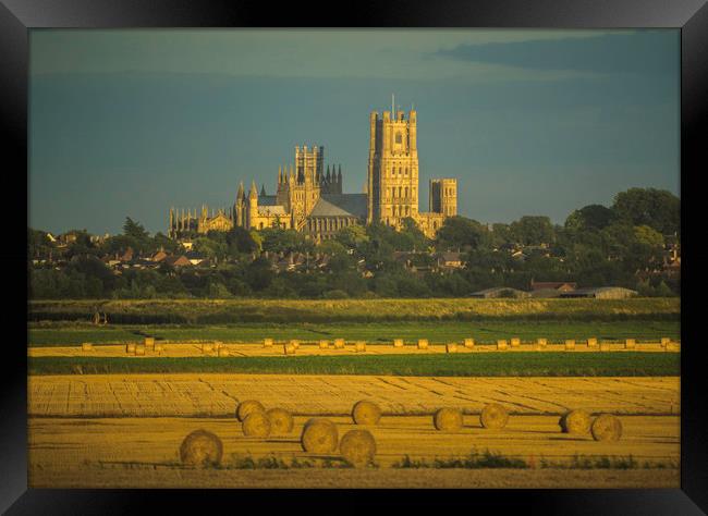 Glowing Ely Cathedral at Harvest Time Framed Print by Andrew Sharpe