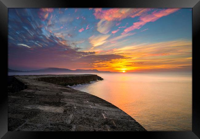 The Cobb, Lyme Regis, at dawn Framed Print by Andrew Sharpe