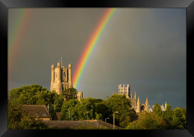 Ely Cathedral, Cambridgeshire Framed Print by Andrew Sharpe