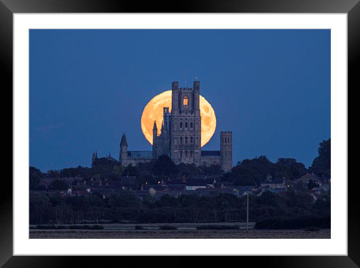 Harvest Moon rising behind Ely Cathedral, Cambridg Framed Mounted Print by Andrew Sharpe