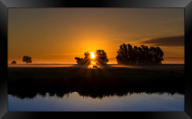 Dawn over the fens, Ely, Cambridgeshire Framed Print by Andrew Sharpe