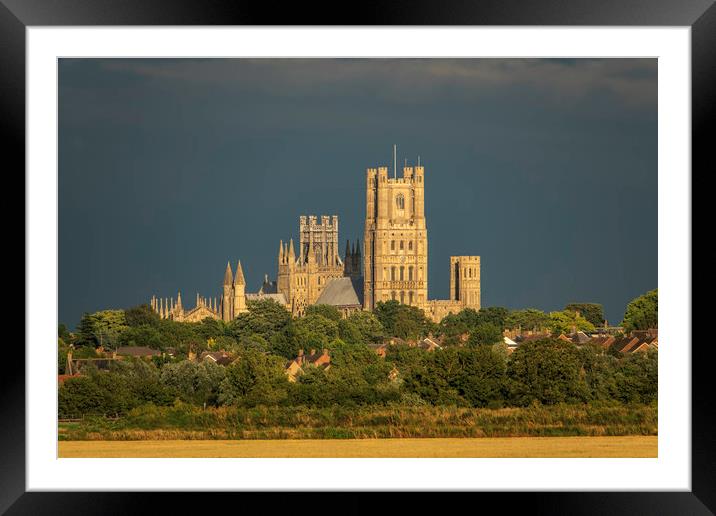 Golden Ely Cathedral at Dusk Framed Mounted Print by Andrew Sharpe
